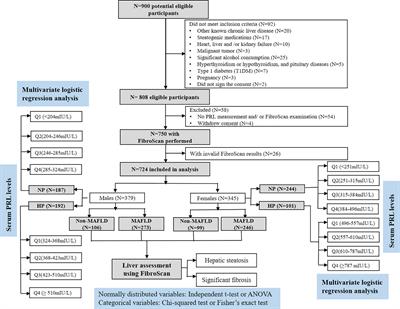 J-Shaped Relationship Between Serum Prolactin and Metabolic-Associated Fatty Liver Disease in Female Patients With Type 2 Diabetes